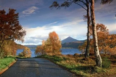 NATUREZA jigsaw puzzle