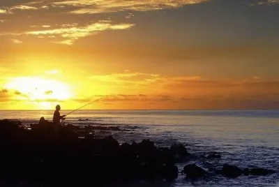 pescando jigsaw puzzle