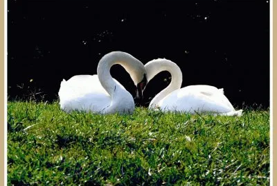 pareja jigsaw puzzle