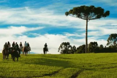 imagens jigsaw puzzle