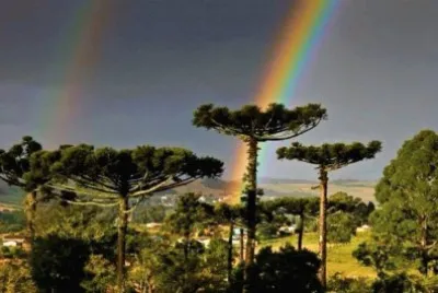 imagens jigsaw puzzle