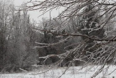 After the ice storm