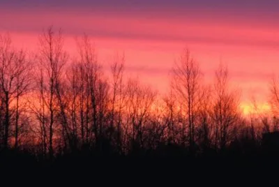 Sunrise over the field
