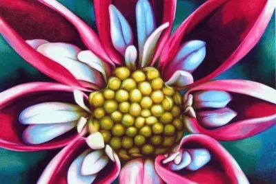 Red White Flower