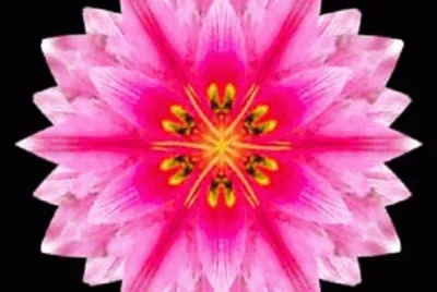 mandala