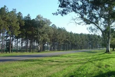 En Obanta. TucumÃ¡n. Argentina jigsaw puzzle