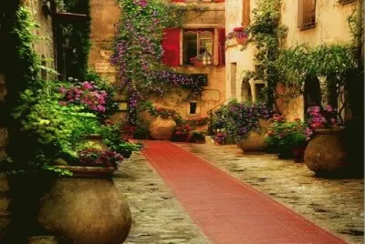 Interior en la Provenza-Francia