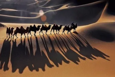 imagens jigsaw puzzle