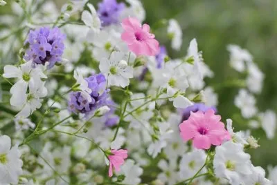 imagens jigsaw puzzle