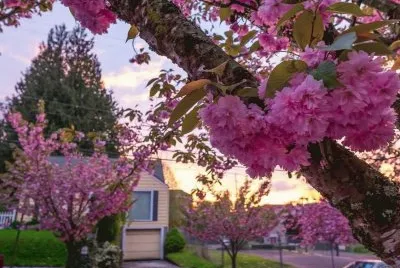 imagens jigsaw puzzle