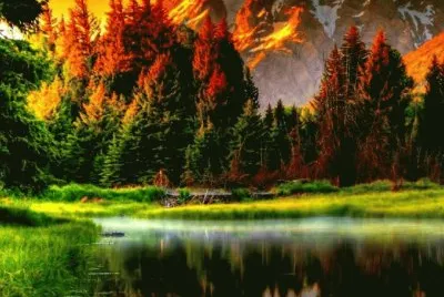 imagens jigsaw puzzle