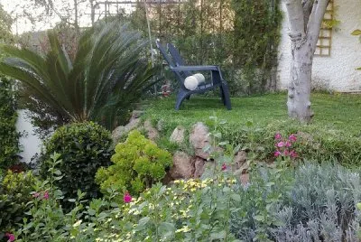 jardÃ­n jigsaw puzzle