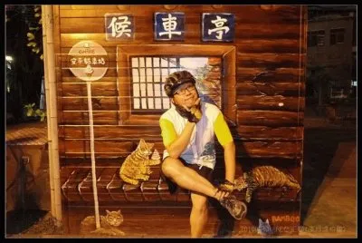 019 jigsaw puzzle