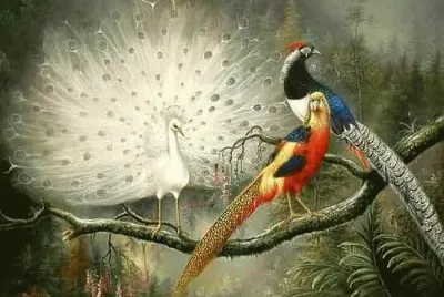 imagenes jigsaw puzzle
