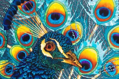 fantasia jigsaw puzzle