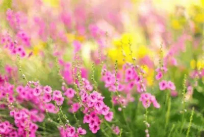 imagens jigsaw puzzle