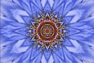 mandala jigsaw puzzle