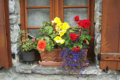 a jigsaw puzzle