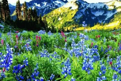 imagens jigsaw puzzle