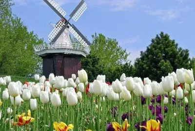 imagens jigsaw puzzle