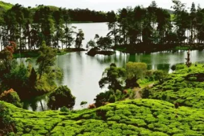 situ patenggang jigsaw puzzle