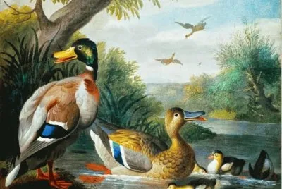 paisajes jigsaw puzzle