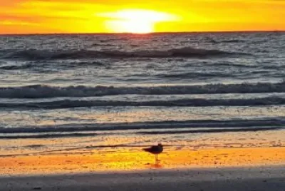 Indian Rocks Beach FL. -winter sunset jigsaw puzzle
