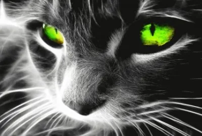 imagens jigsaw puzzle