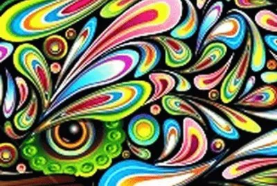 draw