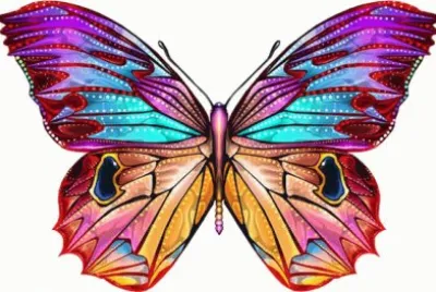 Amazing Butterfly
