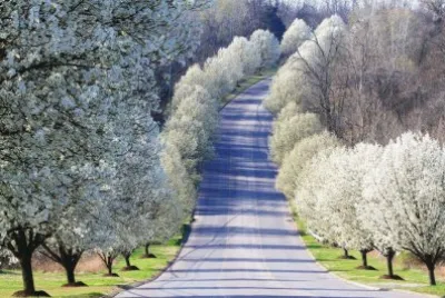 imagens jigsaw puzzle