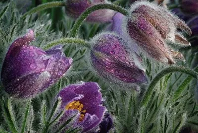 imagens jigsaw puzzle