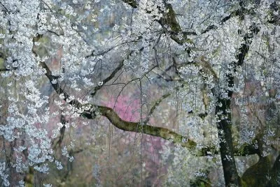 imagens jigsaw puzzle