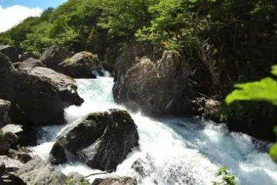 En la Patagonia Argentina jigsaw puzzle