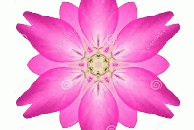 mandala jigsaw puzzle