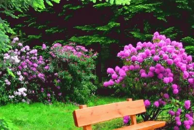imagens jigsaw puzzle