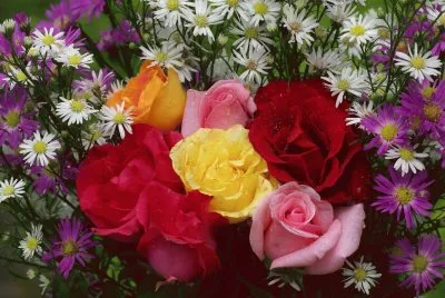 flores jigsaw puzzle