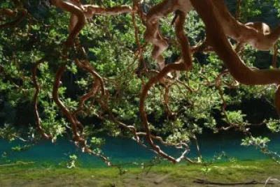 RÃ­o Rivadavia. Chubut. Argentina jigsaw puzzle