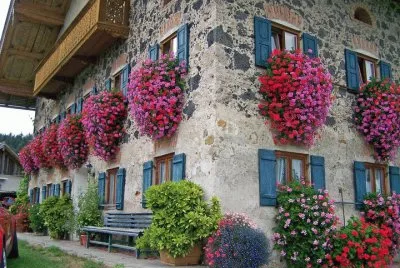 paisajes jigsaw puzzle