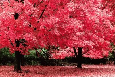 paisajes