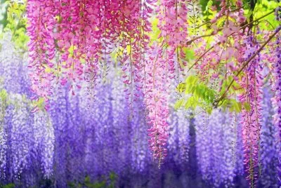 imagens jigsaw puzzle