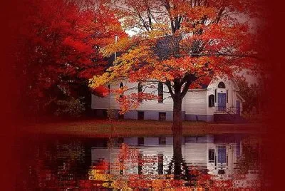 fall