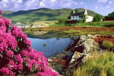 lago jigsaw puzzle