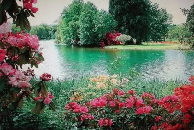lago jigsaw puzzle