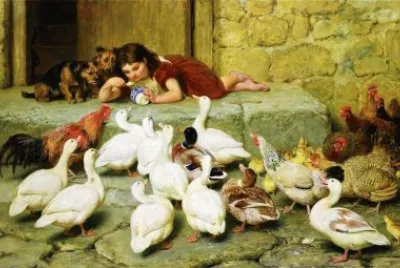 aves jigsaw puzzle