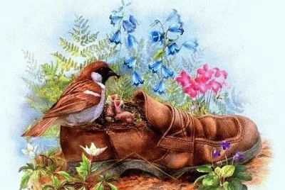 sapato jigsaw puzzle