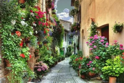 callejÃ³n
