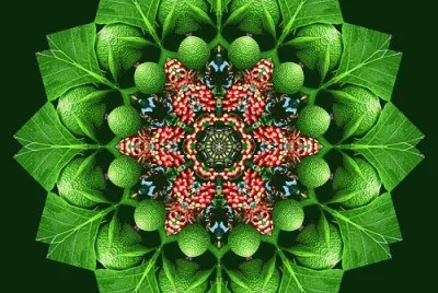 mandala jigsaw puzzle