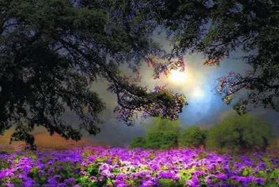 imagens jigsaw puzzle