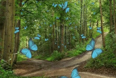 imagens jigsaw puzzle